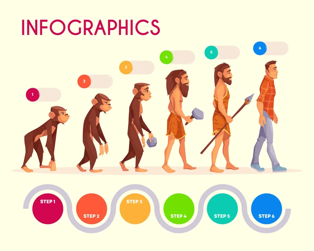 Human evolution